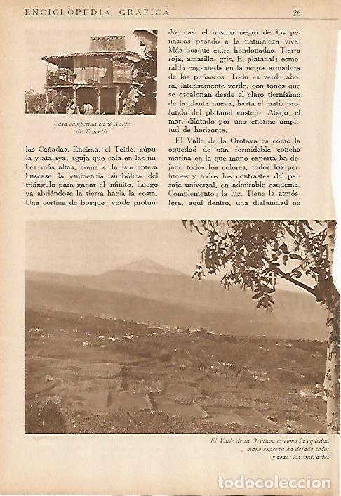 Postcards: LAMINA 5448: Valle de Orotava - Jose M Benitez Toledo