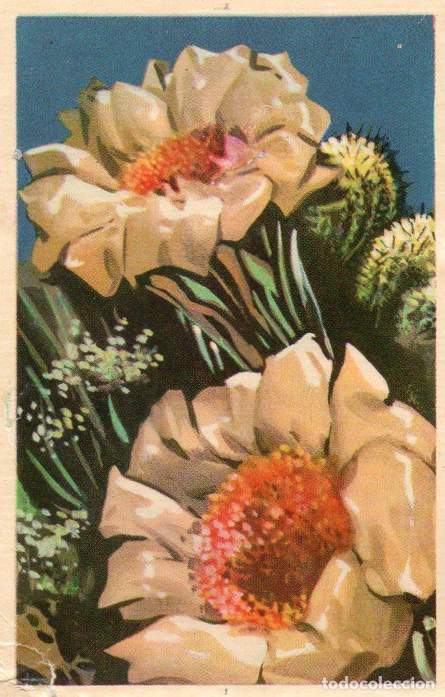 Postales: CROMO Viajando por America del Norte: Numero 98 - Varios