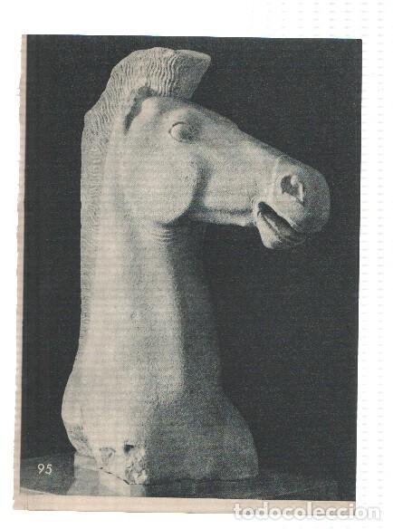 Postales: El Museo del Prado, laminas 95: Cabeza de caballo (estatua griega)