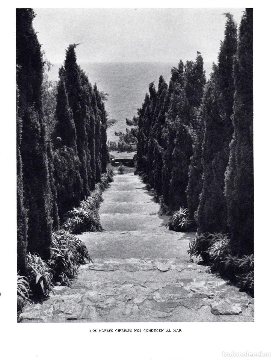 Postkarten: LAMINA 5647: Nobles cipreses que conducen al mar - Josep Pla