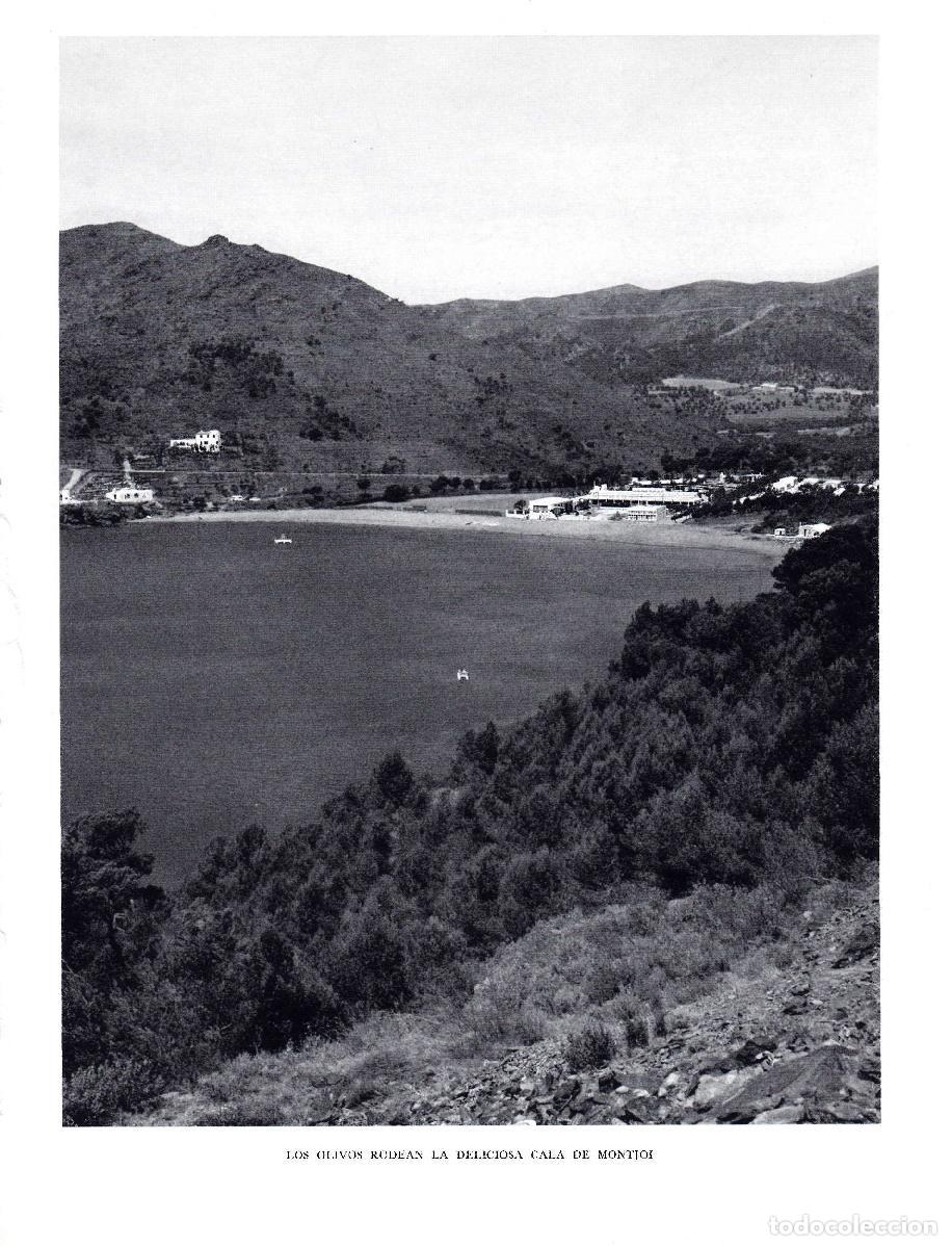 Postales: LAMINA 5814: Olivos en Cala Montjoi - Josep Pla