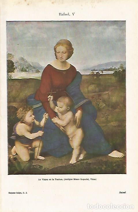 Cartes Postales: LAMINA ESPASA 15907: La Virgen en la Pradera por Rafael - Varios