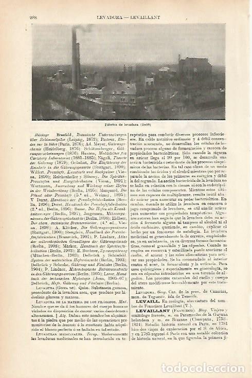 Postais: LAMINA ESPASA 25616: Fabrica de levadura en Delft - Varios
