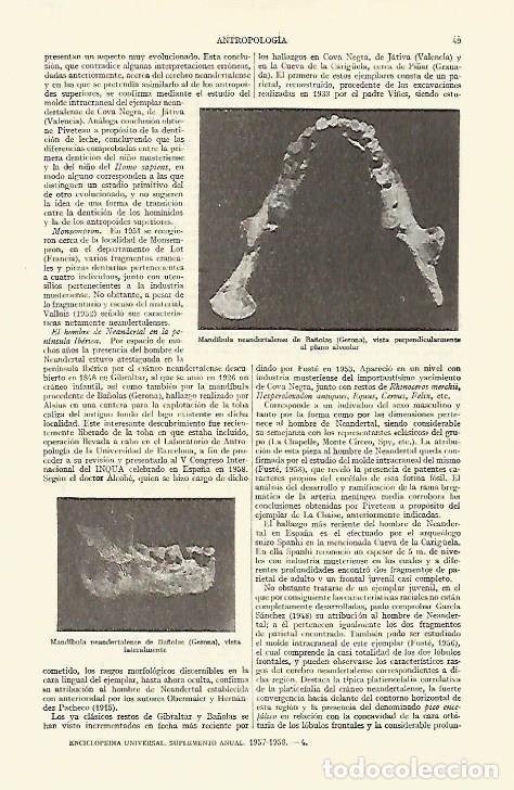 Postcards: LAMINA ESPASA 14829: Mandibula neandertalense de Banyoles (Girona) - Varios