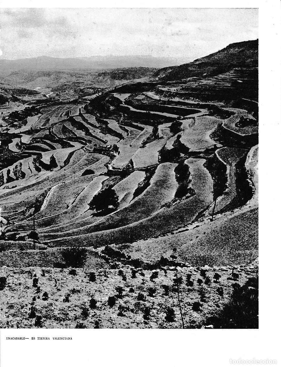 Cartes Postales: LAMINA 5866: Monta&ntilde;a pelada - Joan Fuster
