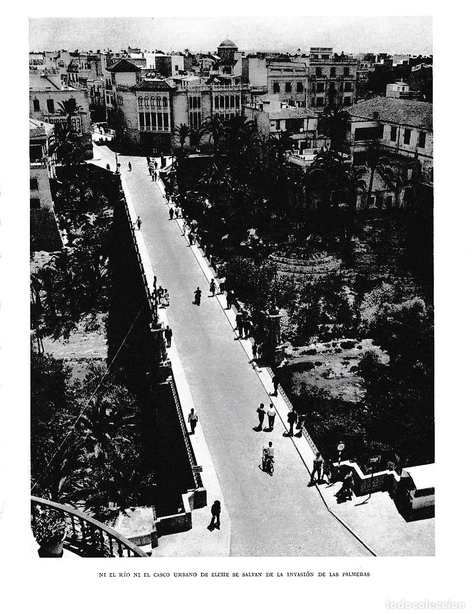 Cartoline: LAMINA 6067: Palmeras en el rio y casco urbano de Elche - Joan Fuster
