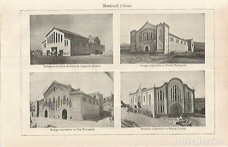 Postales: LAMINA ESPASA 17611: Bodegas en Angresola Falset Pira y Soleres - Varios