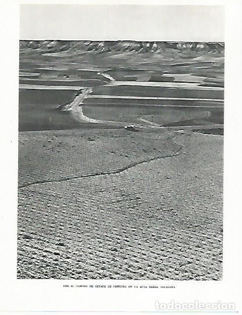 Postales: LAMINA 9008: Camino de Getafe Madrid - G. Gomez de la Serna