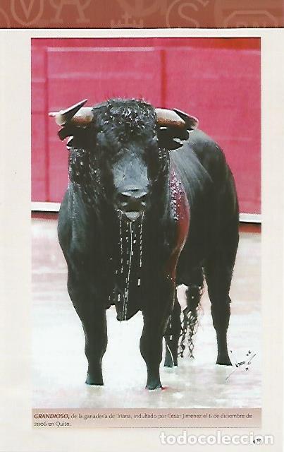 Cartes Postales: LAMINA COSSIO 50977: Grandioso indultado por Cesar Rincon - Varios