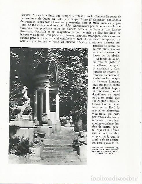 Postales: LAMINA 8974: Jardin en la Alameda de Osuna - G. Gomez de la Serna