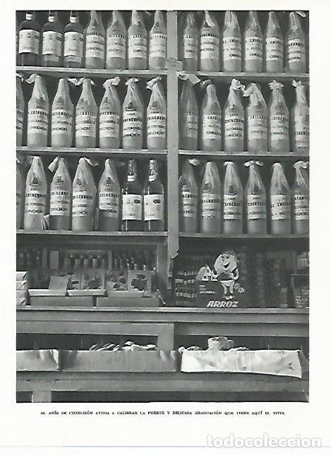 Postales: LAMINA 8986: Anis de Chinchon - G. Gomez de la Serna