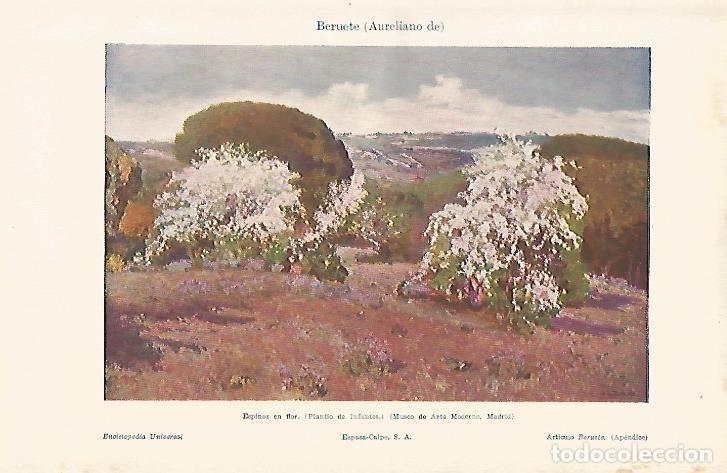 Cartoline: LAMINA ESPASA 8157: Espinos en flor por Aureliano de Beruete - Varios