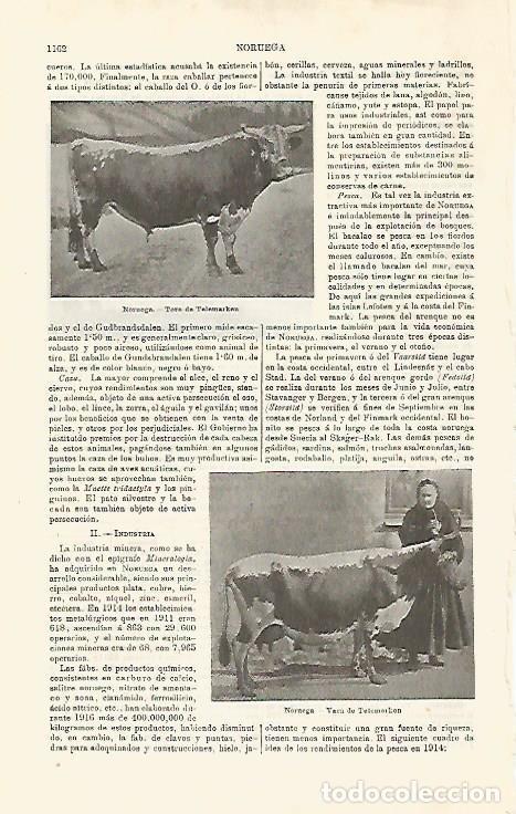 Postkarten: LAMINA ESPASA 20263: Vaca y toro de Telemarken - Varios