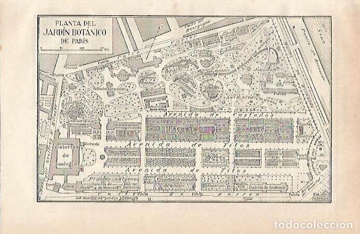 Postkarten: LAMINA ESPASA 20986: Planta del Jardin Botanico de Paris - Varios