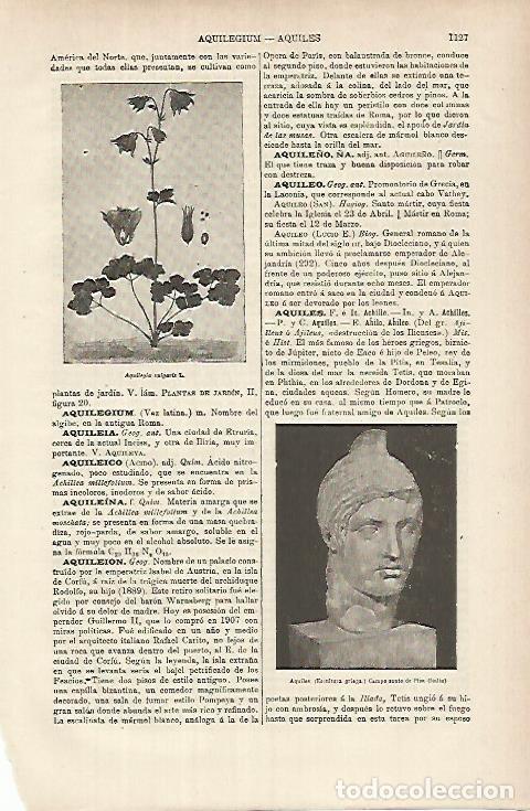 Postkarten: LAMINA ESPASA 26234: Aquiles busto griego - Varios