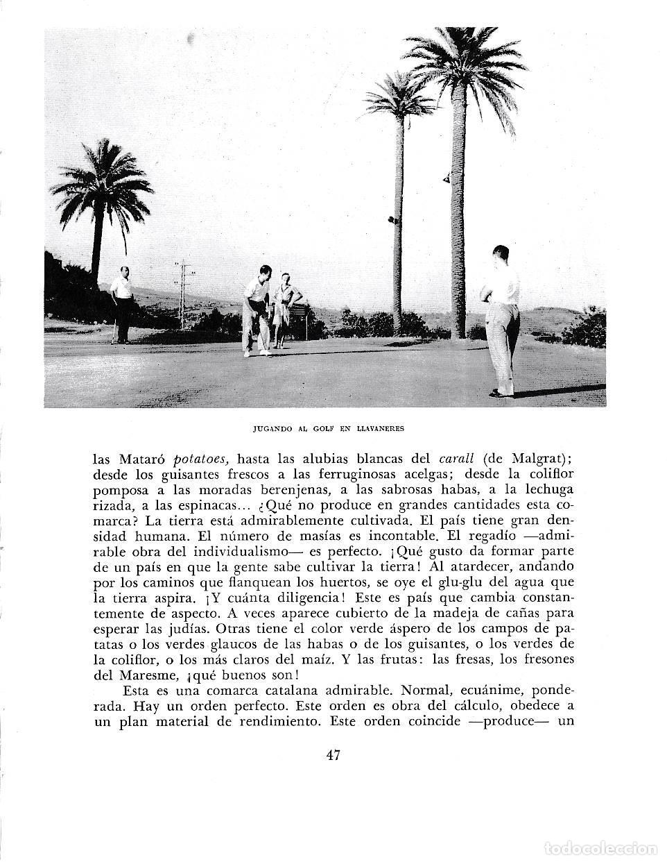 Cartoline: LAMINA 6335: El golf de Llavaneras - Jose Pla
