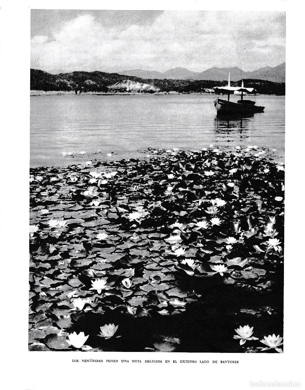 Postcards: LAMINA 6357: Nenufares en el lago de Banyoles - Jose Pla