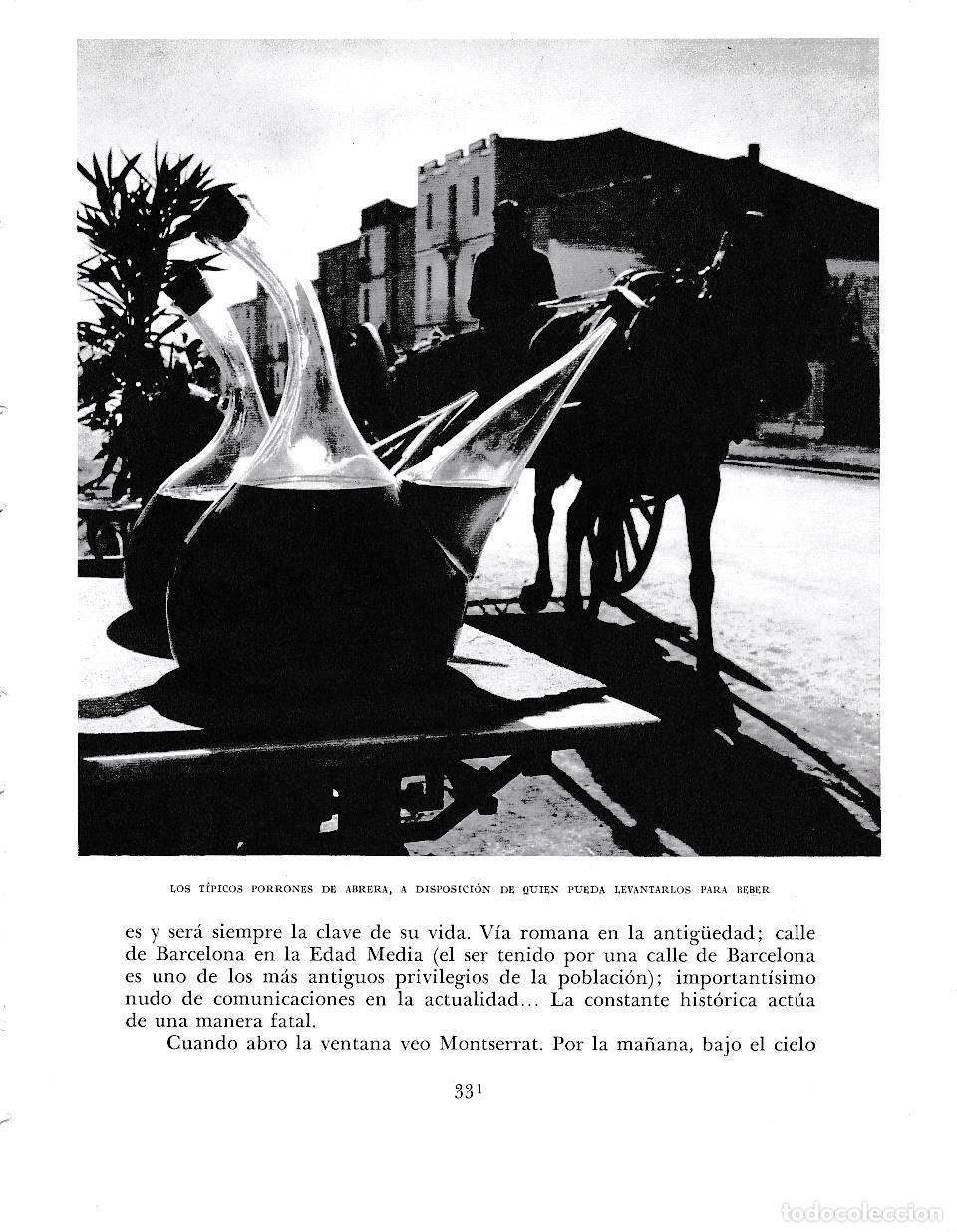 Postcards: LAMINA 6456: Porrones de Abrera para quien pueda levantarlos - Jose Pla