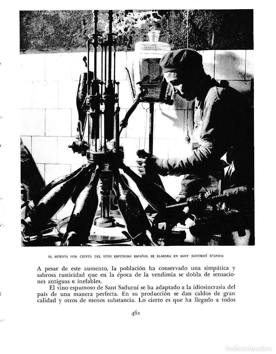 Cartoline: LAMINA 6513: Vino espumoso espa&ntilde;ol de Sant Sadurni D Anoia - Jose Pla