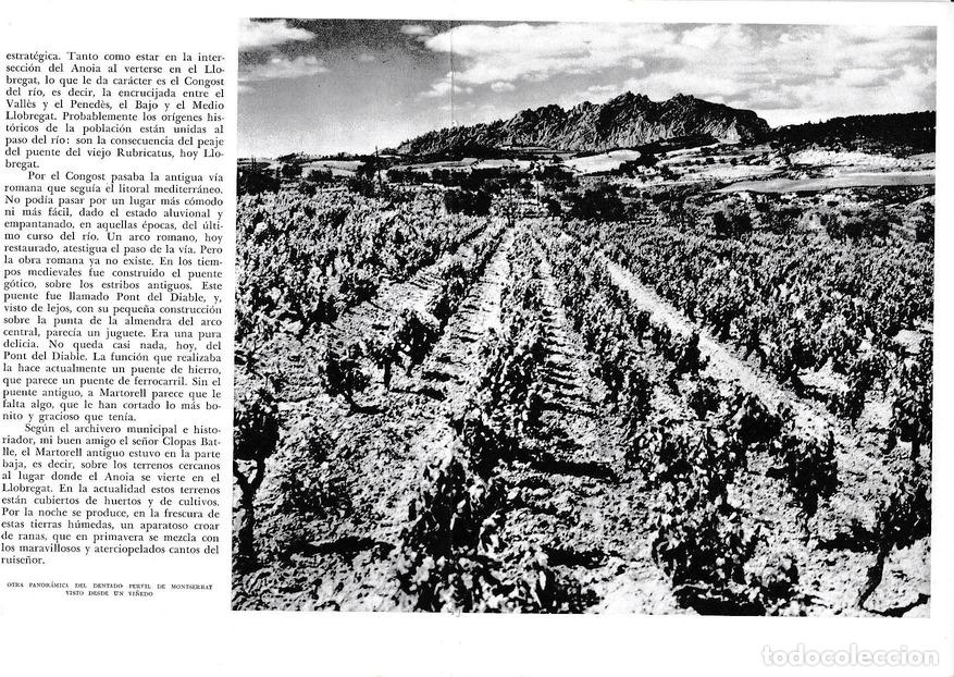 Postales: LAMINA 6455: Panoramica Montserrat desde un vi&ntilde;edo - Jose Pla
