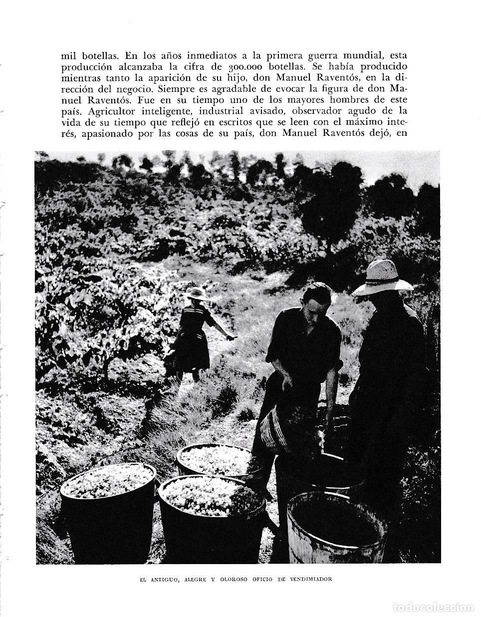 Postcards: LAMINA 6512: Vendimiadores - Jose Pla