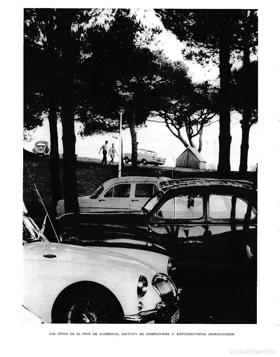 Postales: LAMINA 6534: Los pinos de El Prat de Llobregat refugio de acampadoress y escursionistas - Jose Pla