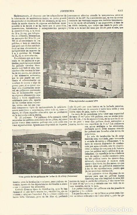 Postais: LAMINA ESPASA 26882: Gallineros de Caldes de Montbui Barcelona - Varios