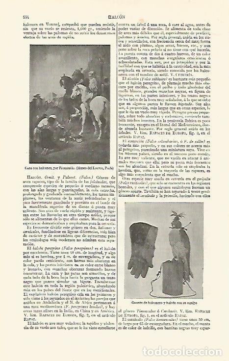 Postkarten: LAMINA ESPASA 21547: Caza con halcones por Fromentin - Varios