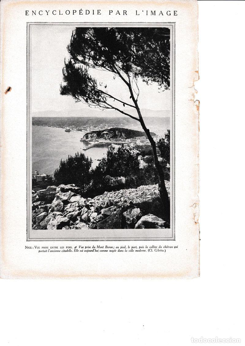 Postais: LAMINA 30103: Nice vista entre los pinos - Librairie Hachette