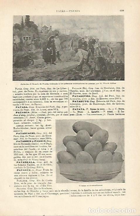 Cartoline: LAMINA ESPASA 23437: Federico el Grande de Prusia por W. Muller - Varios