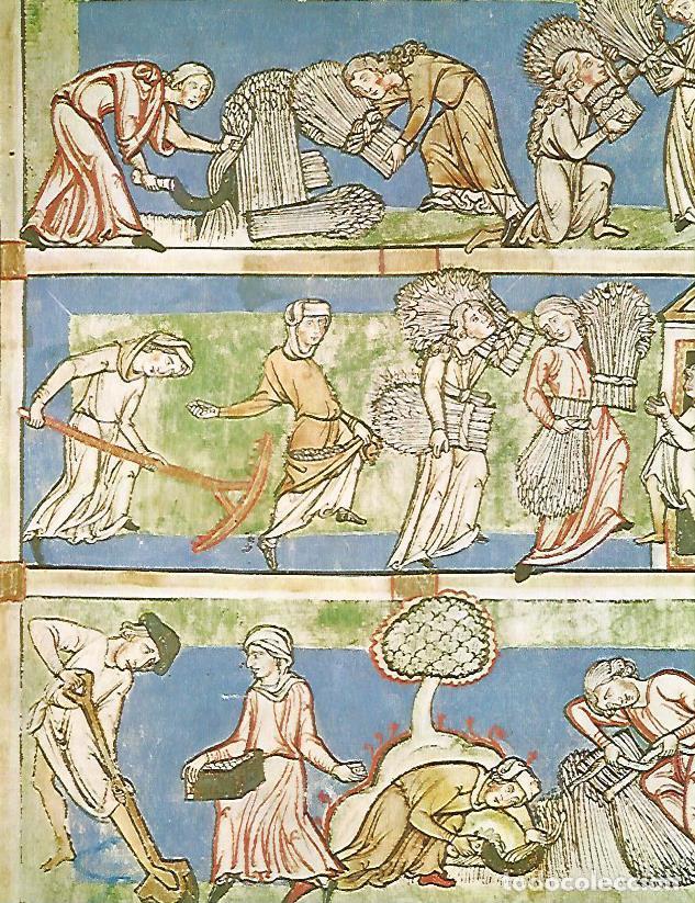 Cartoline: LAMINA 9914: Siega en el siglo XII - Andre Maurois