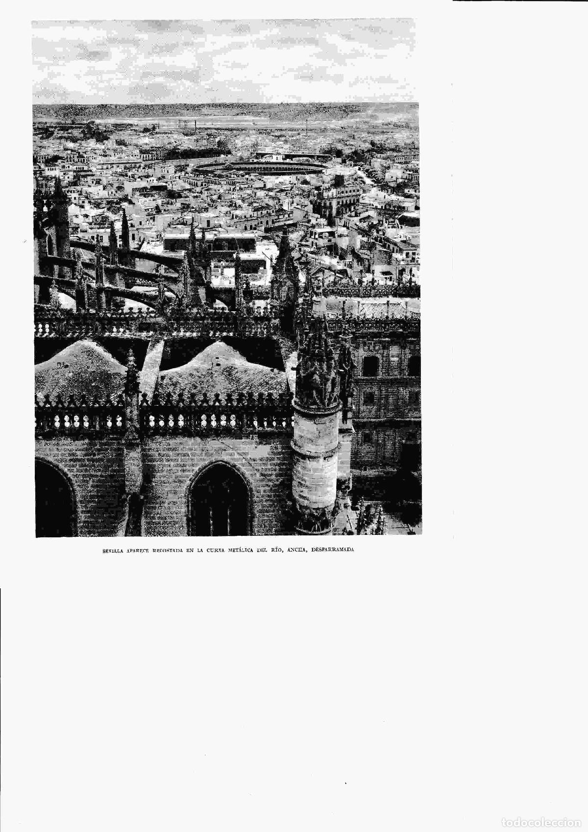 Postais: LAMINA 6317: Sevilla recostada en la curva del rio - Jose M&ordf; Peman