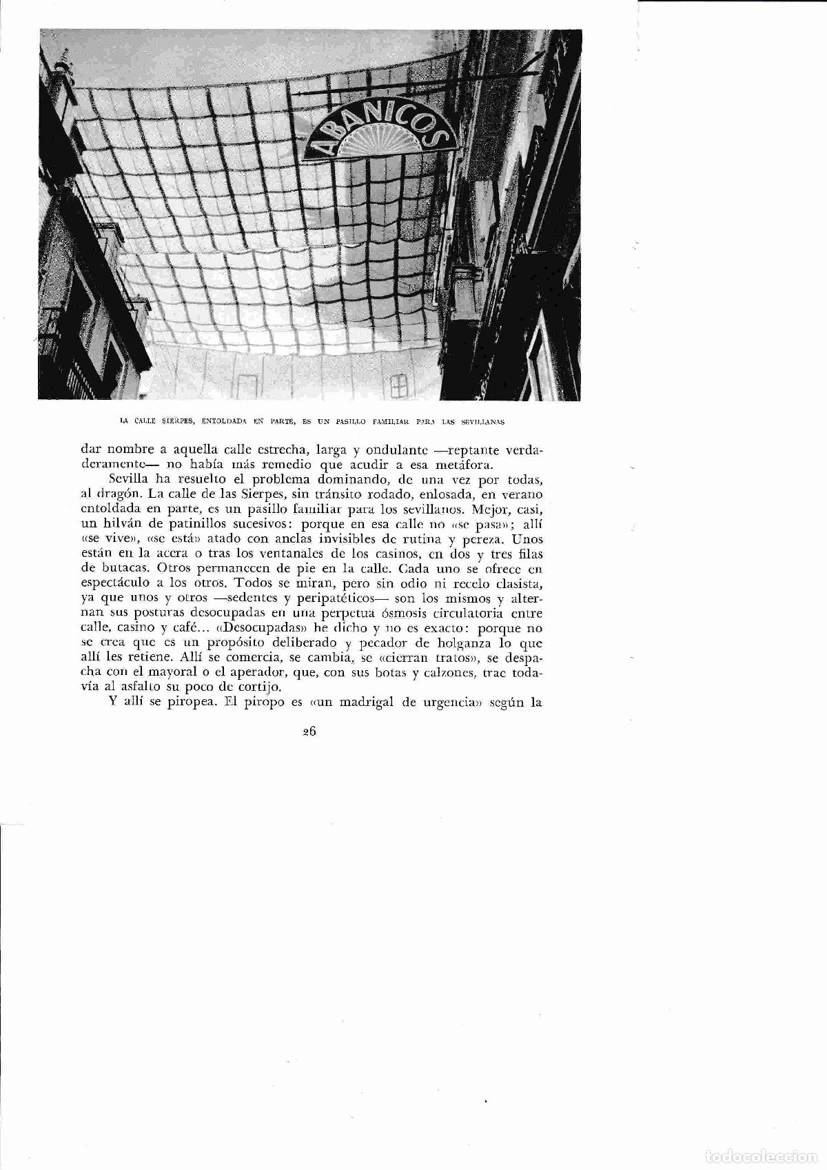 Cartoline: LAMINA 6324: La calle sierpes entoldada - Jose M&ordf; Peman