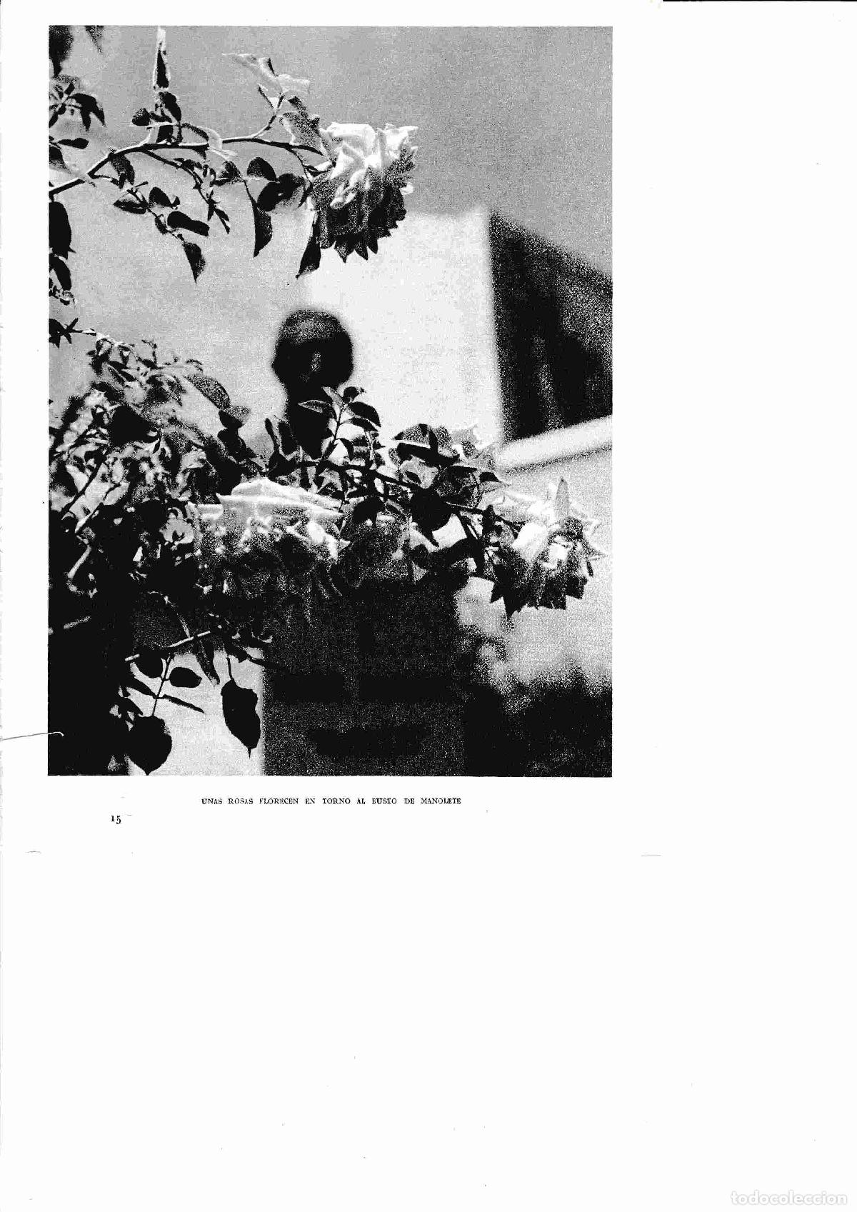 Postales: LAMINA 6401: Rosas junto el busto de Manolete - Jose M&ordf; Peman