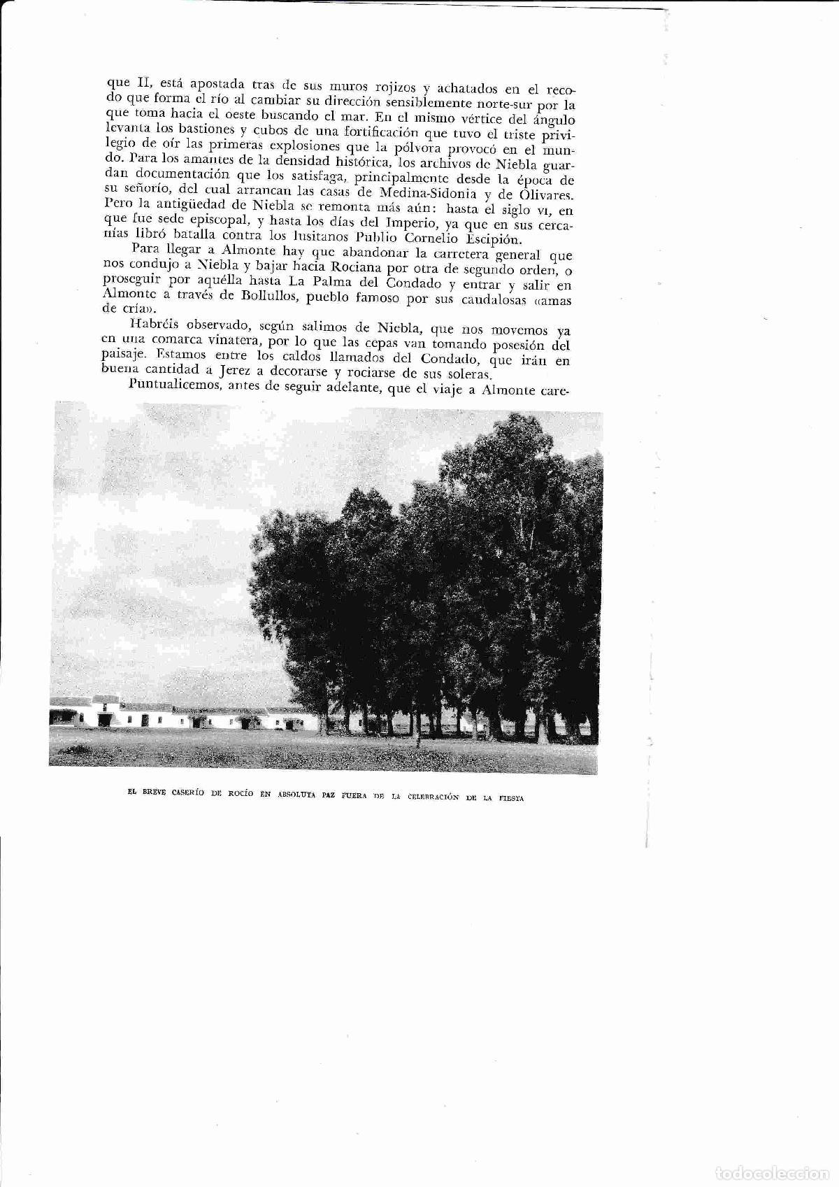 Postales: LAMINA 6424: El Rocio - Jose M&ordf; Peman
