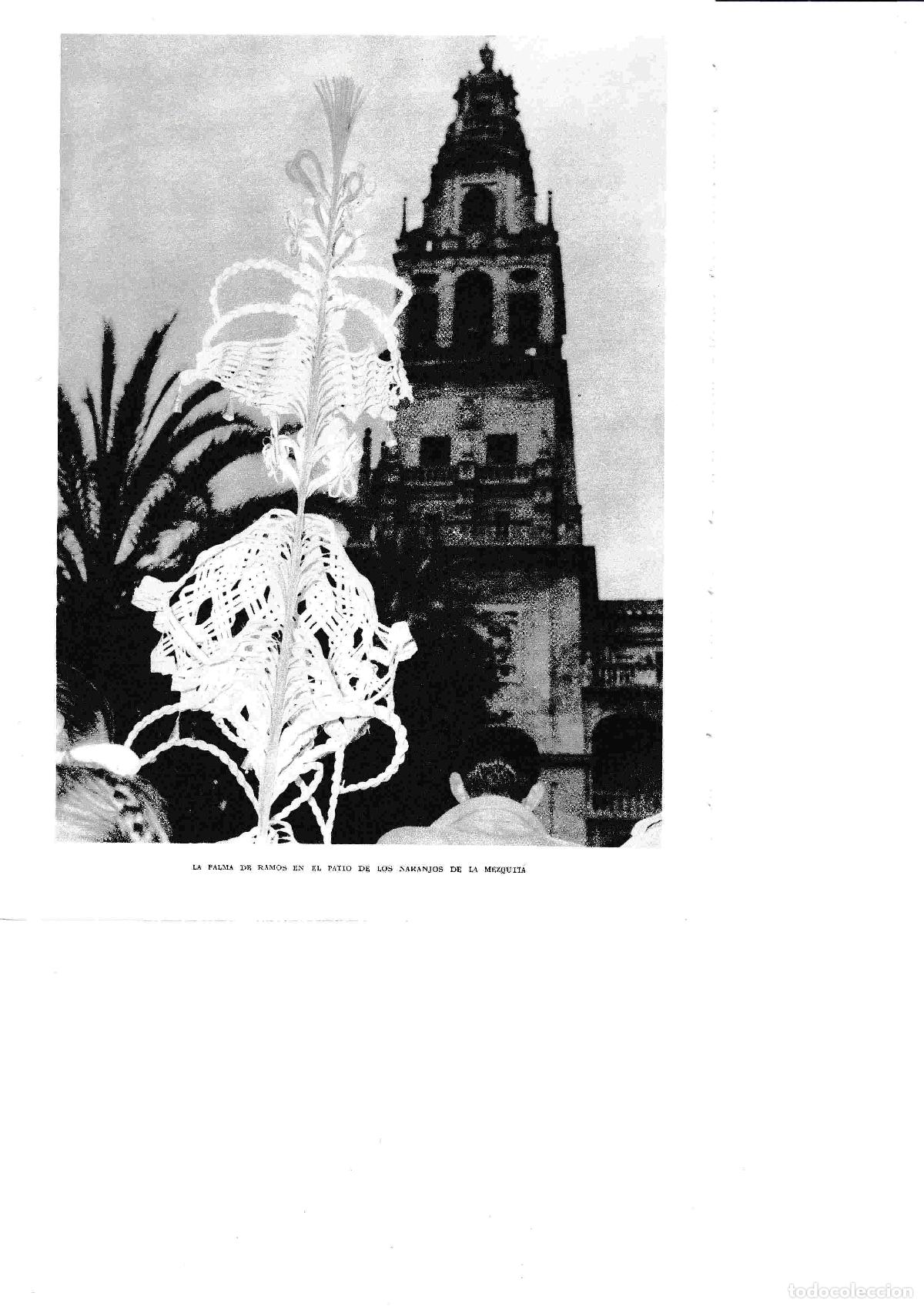 Postales: LAMINA 6387: Palmas de ramos en el patio de los naranjos de la mezquita - Jose M&ordf; Peman