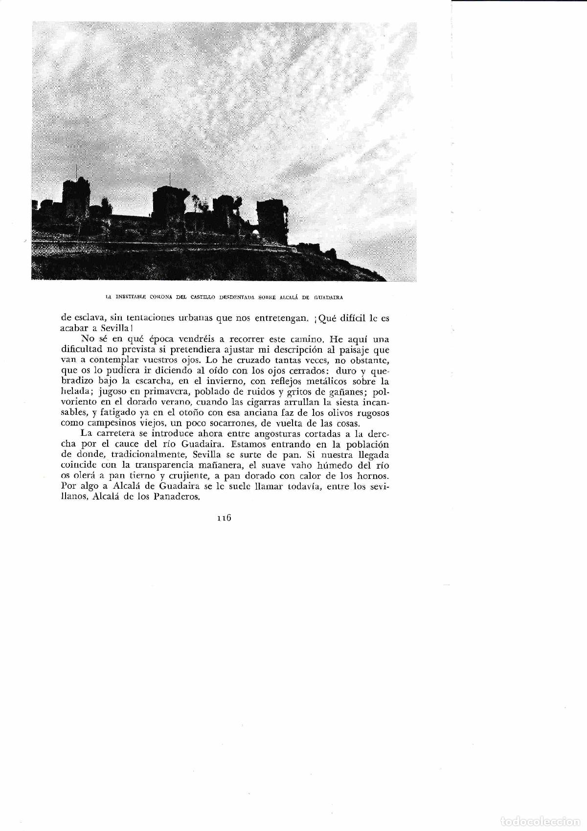 Postales: LAMINA 6367: Corona sobre Alcala de Guadaira - Jose M&ordf; Peman