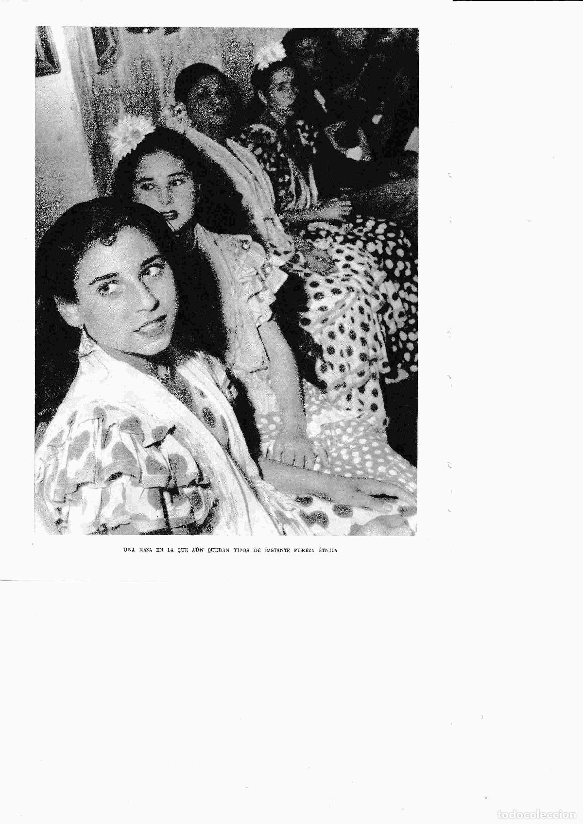 Postales: LAMINA 6500: Gitanas raza con fuerza etnica - Jose M&ordf; Peman