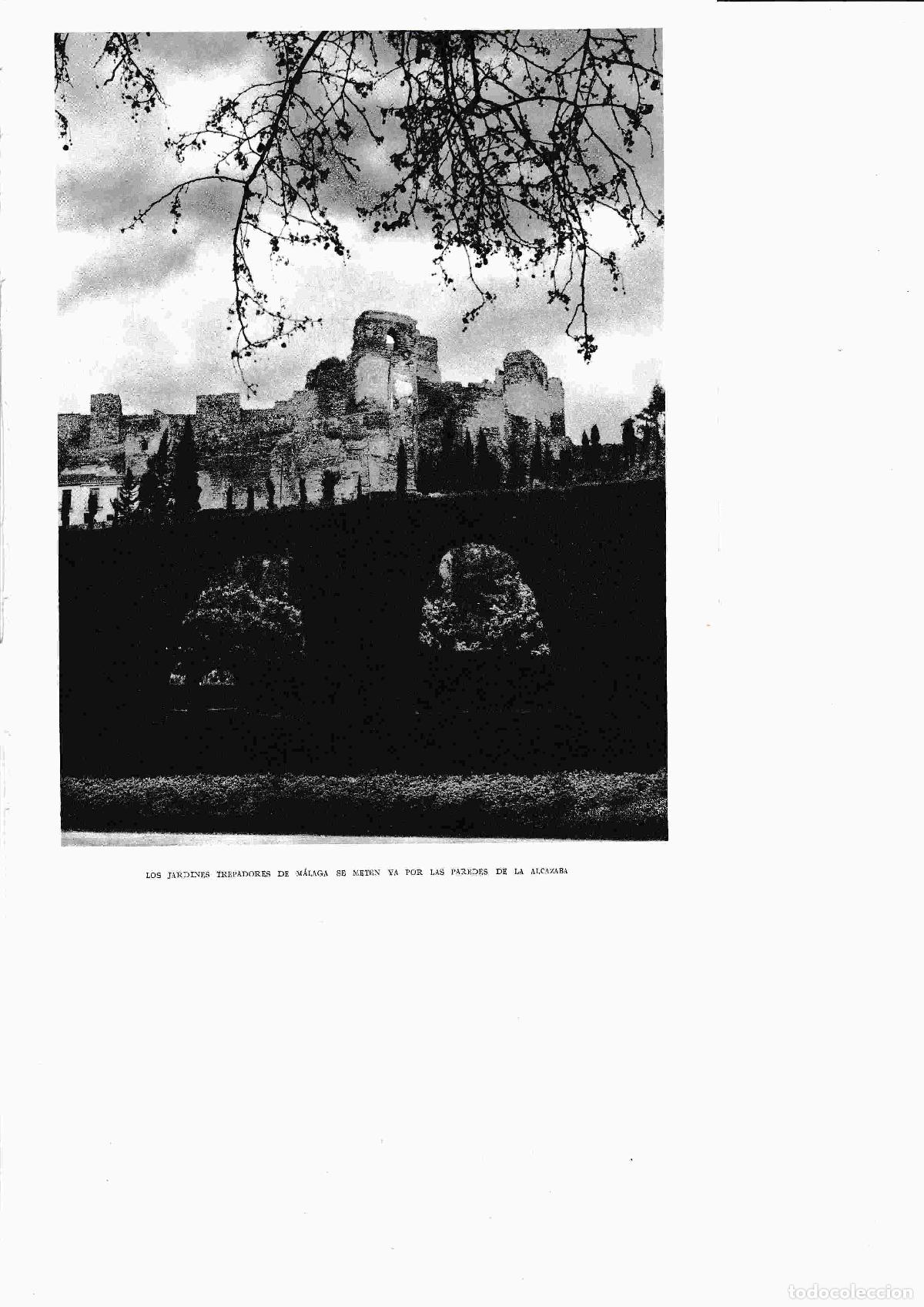 Postcards: LAMINA 6462: Jardines trepadores de Malaga llegan a la Alcazaba - Jose M&ordf; Peman