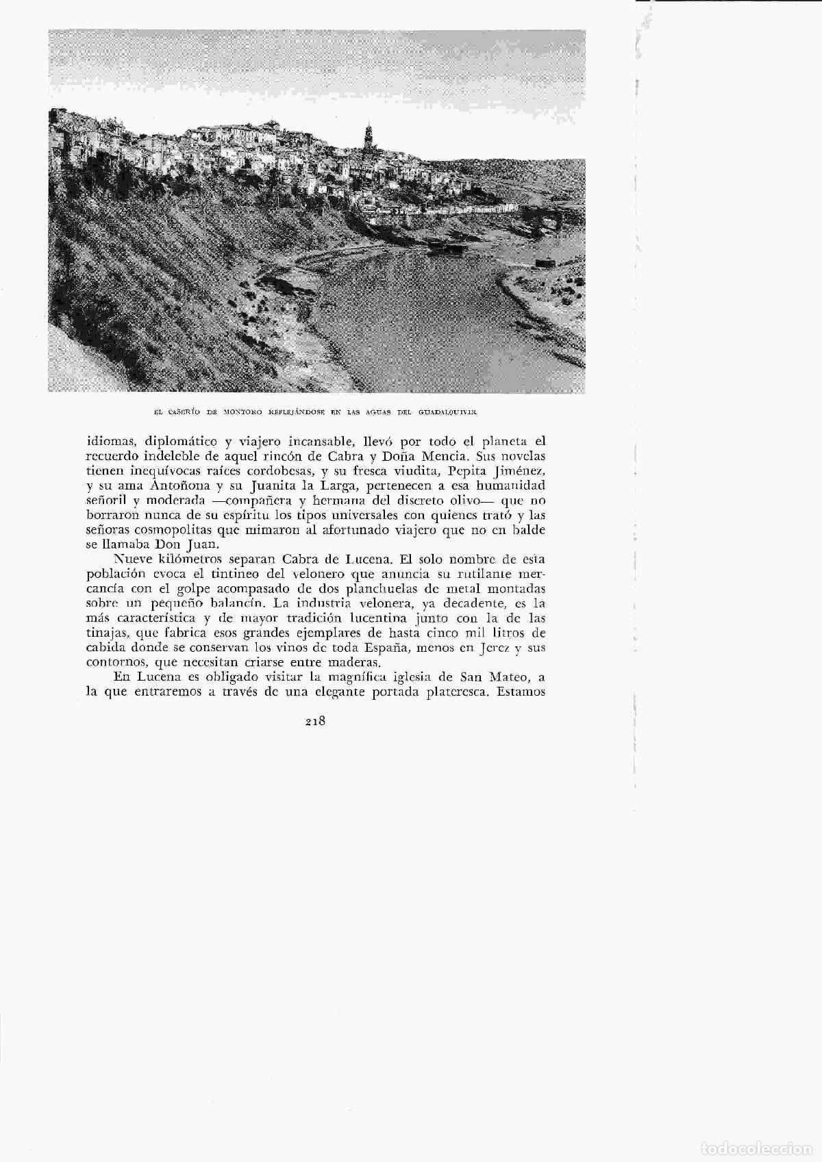 Cartoline: LAMINA 6405: El caserio de Montoro junto al Guadalquivir - Jose M&ordf; Peman