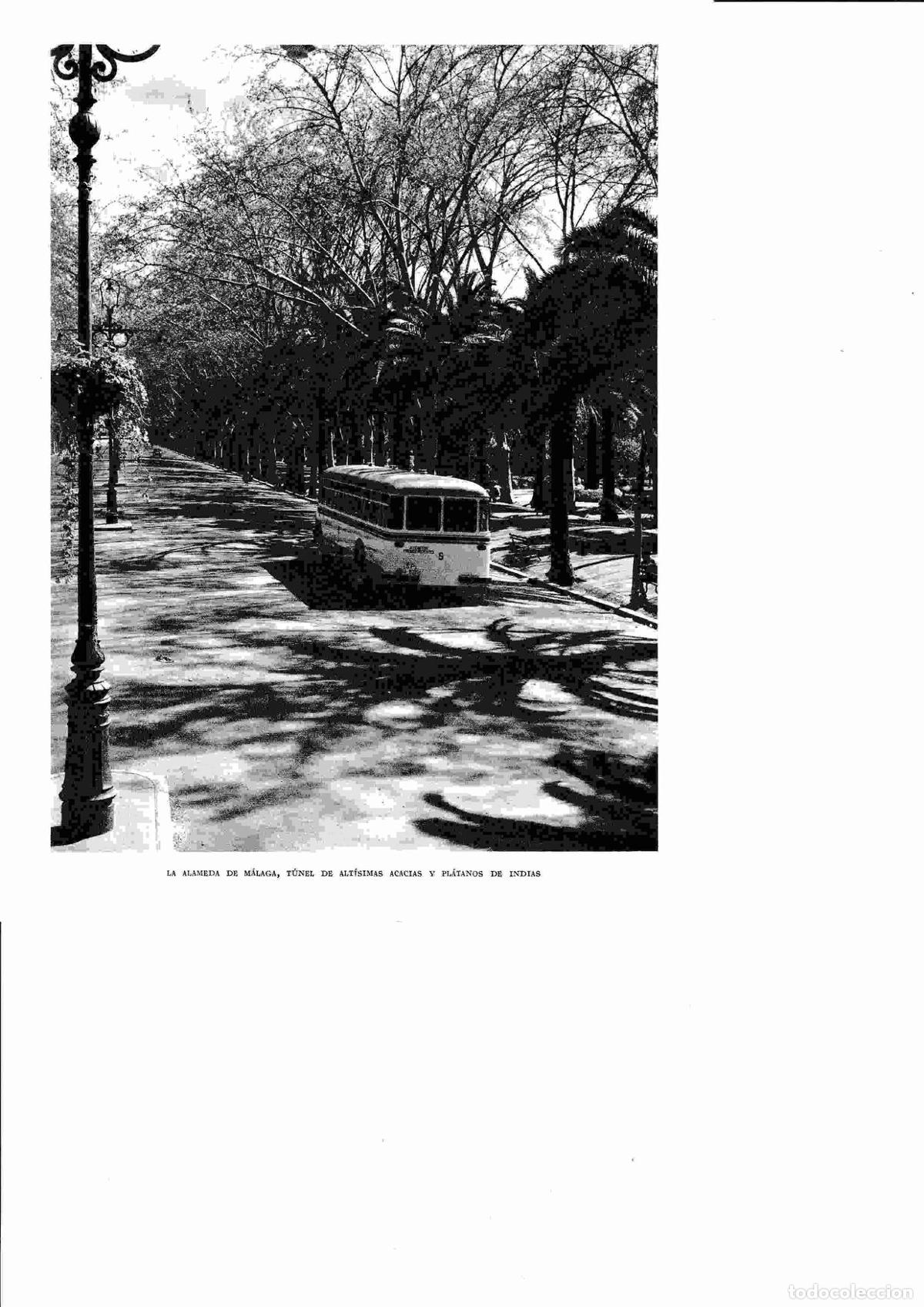 Postales: LAMINA 6459: La Alameda de Malaga - Jose M&ordf; Peman