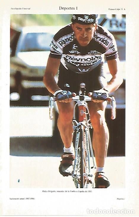 Cartoline: LAMINA ESPASA 27435: Pedro Delgado vencedor de la Vuelta en 1985 - Varios