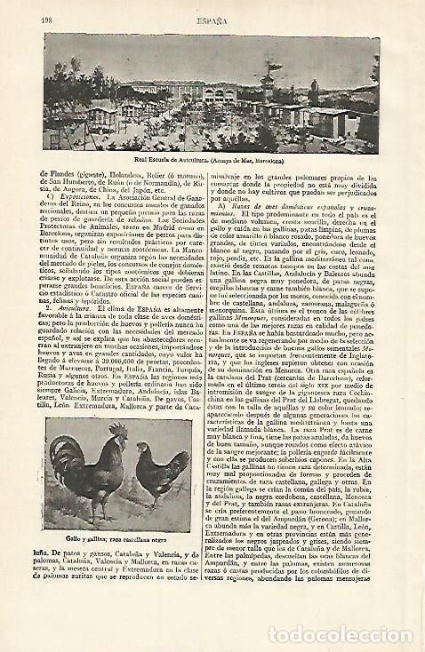 Cartoline: LAMINA ESPASA 15575: Real Escuela de Avicultura en Arenys de Mar Barcelona - Varios