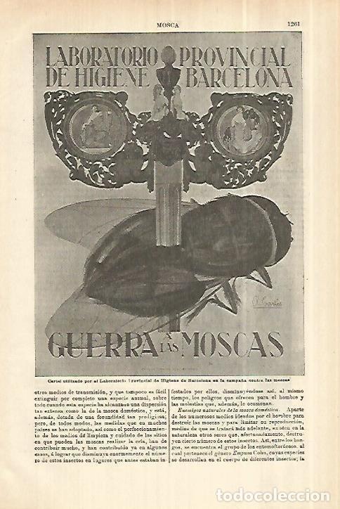 Postkarten: LAMINA ESPASA 28142: Cartel del Laboratorio Provincial de Higiene de Barcelona - Varios