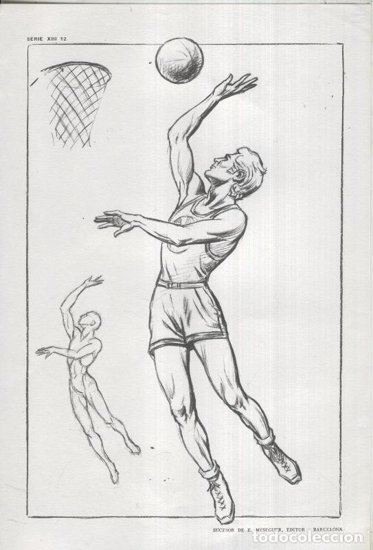 Postcards: Lamina Emilio Freixas numerada 18 - Varios