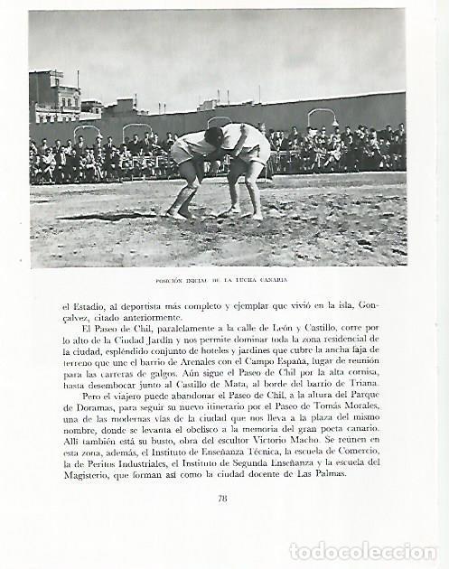 Postcards: LAMINA 10229: Posicion inicial de lucha canaria - Claudio de la Torre