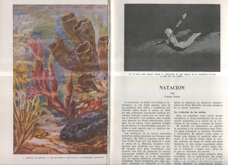 Cartoline: Natacion por Carlos Pardo y Las Esponjas - Varios