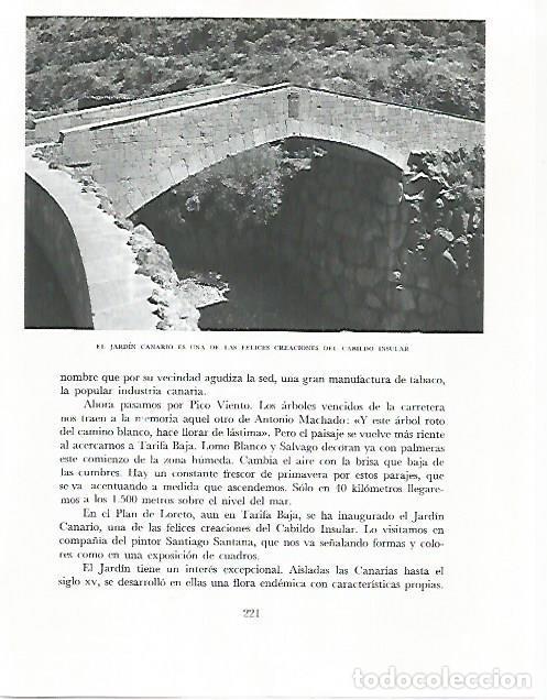 Postales: LAMINA 10292: El Jardin Canario - Claudio de la Torre