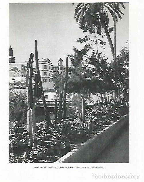 Cartoline: LAMINA 10239: El Toril - Claudio de la Torre