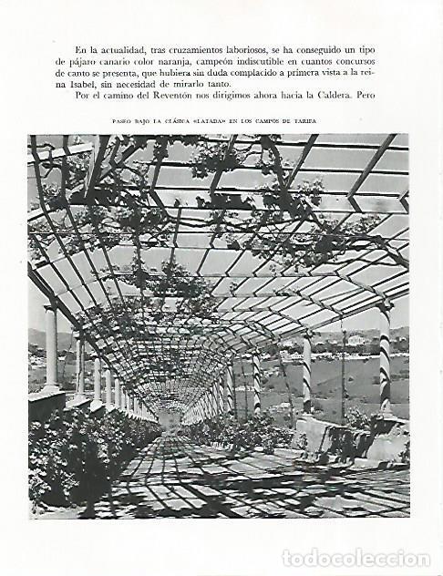 Cartes Postales: LAMINA 10297: Paseo en los Campos de Tarifa - Claudio de la Torre